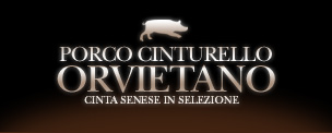 Porco Cinturello Orvietano - Cinta Senese in Selezione
